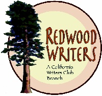 POD book publishing for professional writers